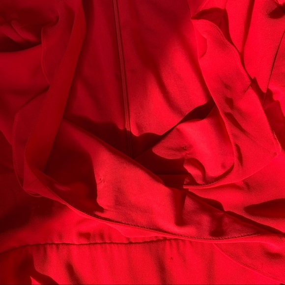 Naked Zebra Ruffle Sleeve Wrap Dress - Picture 8 of 9